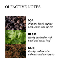Molton Brown Re-charge Black Pepper Aroma Reeds Refill