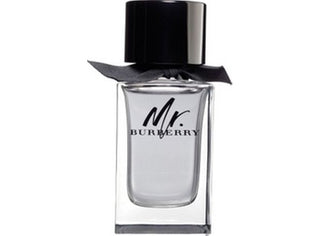 Burberry Mr. Burberry Tester | EDT