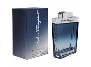 Salvatore Ferragamo Subtil | EDT