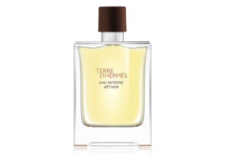 Hermès Terre D'Hermes Eau Intense Vetiver Tester | EDP