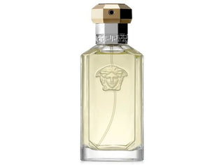 Versace Dreamer Tester | EDT
