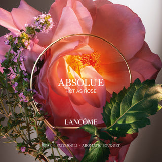Lancome Absolue Hot Rose | EDP