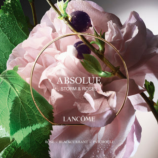 Lancome Absolue Storm Roses | EDP