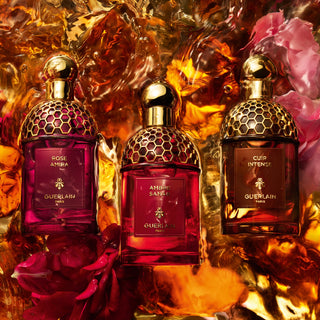 Guerlain Absolus Allegoria Cuir EDP