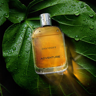 Davidoff Adventure | EDT