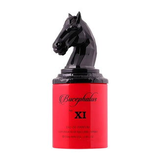 Armaf Niche Bucephalus No. XI for Men | EDP