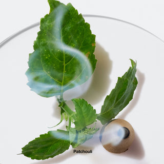 Clinique Aromatics Elixir