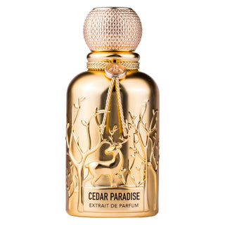 Auraa Desire Cedar Paradise for Men | Extrait de Parfum