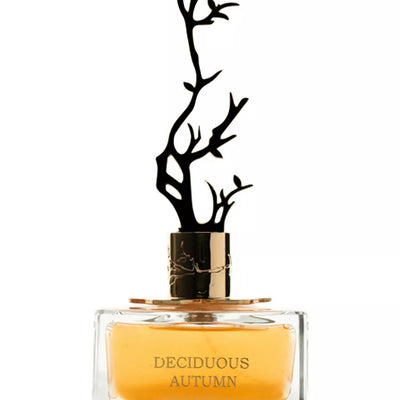 Aurora Deciduous Autumn for Women | EDP