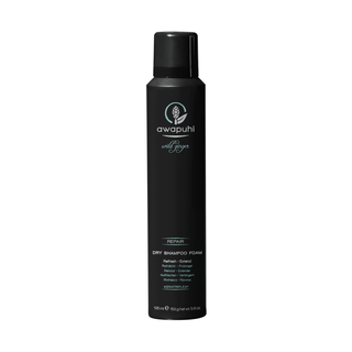 Awapuhi Wild Ginger By Paul Mitchell Repair Hair Dry Shampoo Refresh