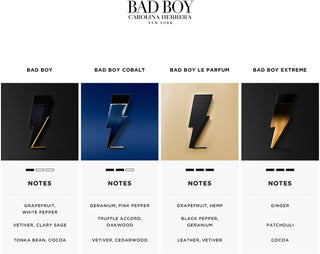Carolina Herrera Bad Boy Le | Parfum