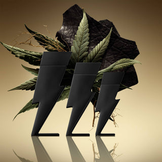 Carolina Herrera Bad Boy Le | Parfum
