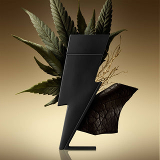 Carolina Herrera Bad Boy Le | Parfum