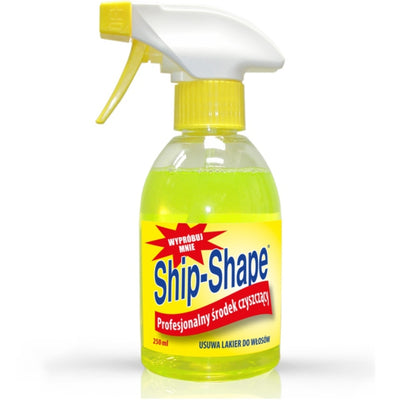 Barbicide Ship-Shape Professional Surface Cleaner