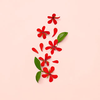 Gucci Bloom Tester | EDP