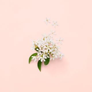 Gucci Bloom Tester | EDP