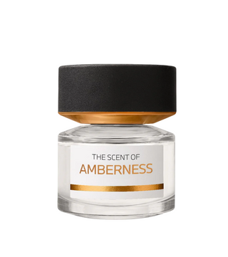 Bmw The Scent Of Amberness for Men | EDP