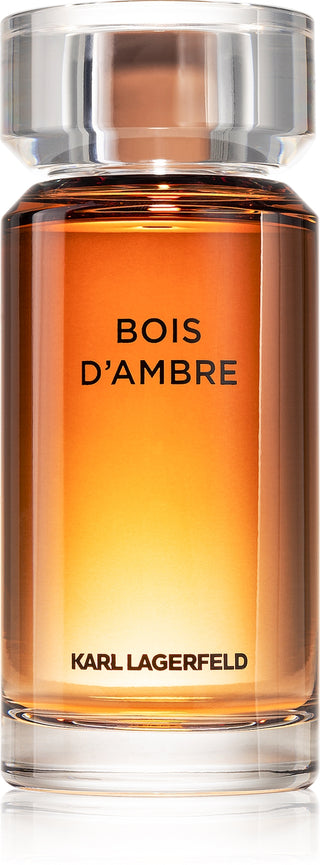 Karl Lagerfeld Bois De Ambre | EDT