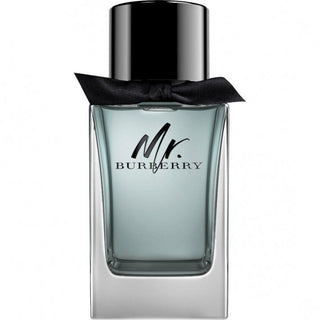 Burberry Mr. Burberry for Men | EDT
