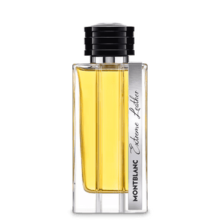 Mont Blanc Extreme Leather | EDP