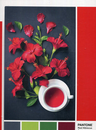 Clementoni Pantone Goji Berry Puzzle Unisex