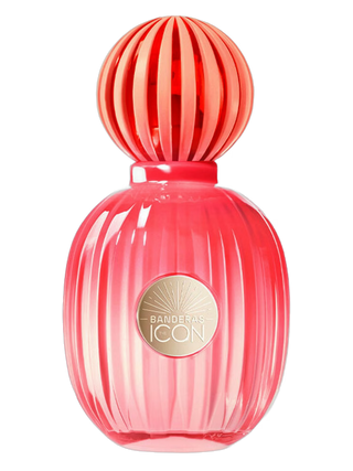 Antonio Banderas The Icon Splendid | EDP