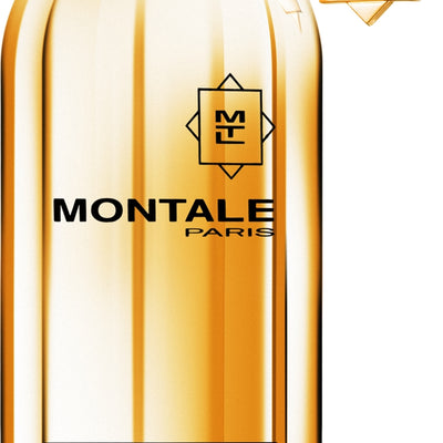 Montale Dark Purple Tester | EDP