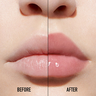 Christian Dior Addict Lip 012 Rosewood Maximizer Hyaluronic