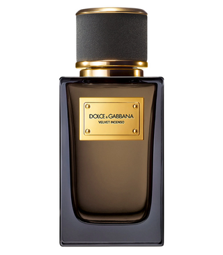 Dolce & Gabbana Velvet Incenso for Men | EDP