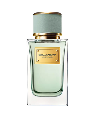 Dolce & Gabbana Velvet Infusion Unisex | EDP