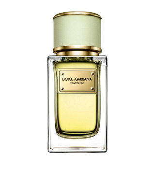 Dolce & Gabbana Velvet Pure for Women | EDP