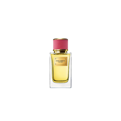 Dolce & Gabbana Velvet Rose for Women | EDP