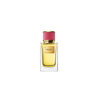 Dolce & Gabbana Velvet Rose for Women | EDP