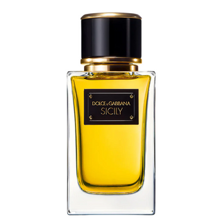 Dolce & Gabbana Velvet Sicily for Women | EDP