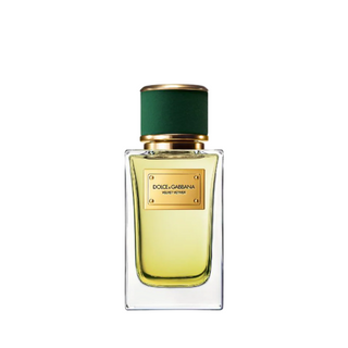 Dolce & Gabbana Velvet Vetiver Unisex | EDP