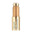 1W1 / Bone, *Tester