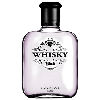 Evaflor Whisky Black for Men | EDT