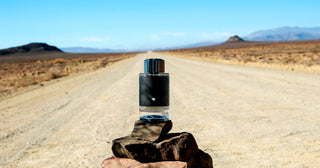 Mont Blanc Explorer | EDP