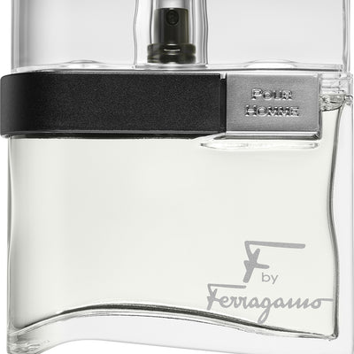 Salvatore Ferragamo F by Ferragamo Free Time | EDT — view 3