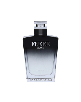 Gianfranco Ferre Ferre Black for Men | EDT Tester