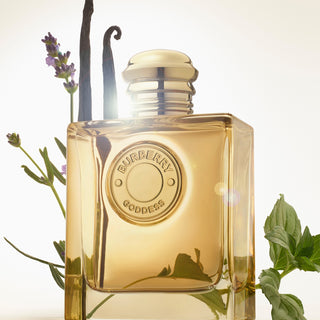 Burberry Goddess Intense | EDP