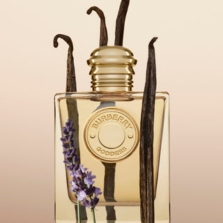 Burberry Goddess Parfum | EDP