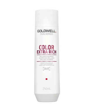 Goldwell Dualsenses Color Extra Rich Brilliance Hair Shampoo Luminosity