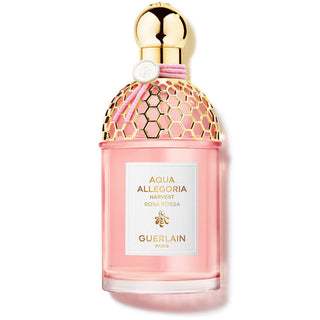 Guerlain Aqua Allegoria Harvest Rosa Rossa for Women | EDT
