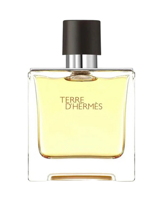 Hermes Terre d'Hermes for Men | EDP Tester
