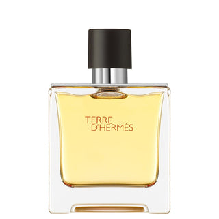 Hermes Terre d'Hermes for Men | Parfum
