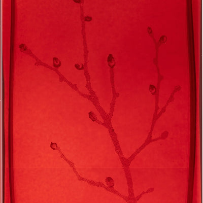 Armand Basi In Red | EDP