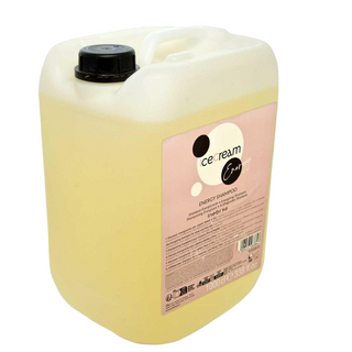 Inebrya Ice Cream Energy Anti-Hair Loss Shampoo