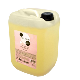 Inebrya Ice Cream Dry-T Nourishing Shampoo