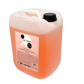 Inebrya Ice Cream Frequent Regenerating Shampoo